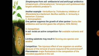 Soil Microbiology Interaction among soil microorganisms [upl. by Rip]