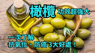 橄欖功效超強大！一次了解抗氧化、防癌3大好處！ [upl. by Os]