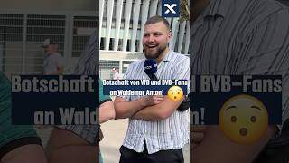 Spoiler Es wurde laut 🫣 bundsliga bvb vfb [upl. by Eirek849]