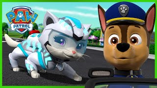 ¡Los cachorros se reúnen con la Cuadrilla Cat por primera vez  PAW Patrol Episodio Español Español [upl. by Selinski]