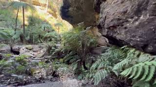 Glow Worm Tunnel  Wollemi National Park [upl. by Ailero]