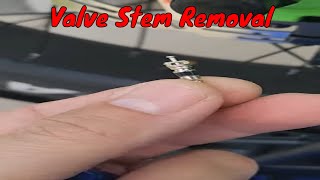 How To Remove A Tire Valve Stem Core [upl. by Liag]