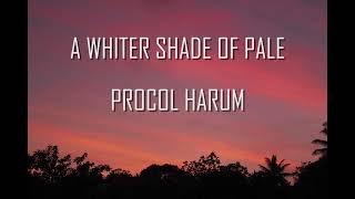 A Whiter Shade Of Pale Procol Harum Lyrics [upl. by Inirt]