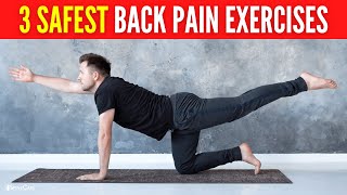 3 Safest Lower Back Pain Exercises FOR LONG LASTING RELIEF [upl. by Nnaylime]