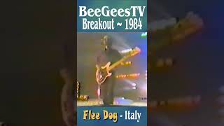 Bee Gees TV quotBreakoutquot 1984 Italy [upl. by Adrell433]