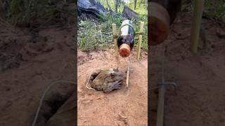 Survival Skills SIMPLE and USEFUL withTrap frogs Using a 150 m bottle camping outdoors [upl. by Anerat]