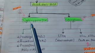 NSAIDs introduction part2 Classification [upl. by Einnoc]