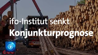 Wirtschaftsforscher senken Konjunkturprognose [upl. by Anital378]