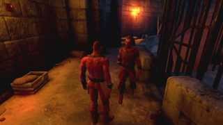 Dreamfall Chapters Friars Keep walkthrough without commentary track [upl. by Scarface403]