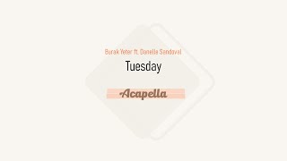 Burak Yeter ft Danelle Sandoval  Tuesday Acapella [upl. by Shepp]