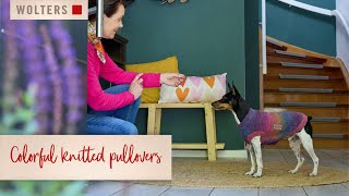 Colorful dog sweaters from WOLTERS [upl. by Prosperus]