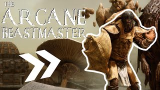 The Arcane Beastmaster Skyrim Vanilla Summoner Build S4E6 [upl. by Na]