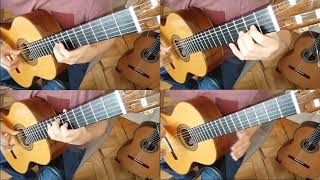 Rammstein  Seemann For four classical Guitars [upl. by Osnofedli290]