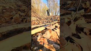 Golf course loop  Petawawa army baselife explore travel hiking dog nature [upl. by Willtrude]