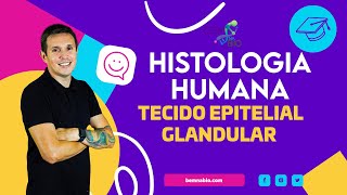 Histologia Humana  Tecido Epitelial Glandular [upl. by Annnora]