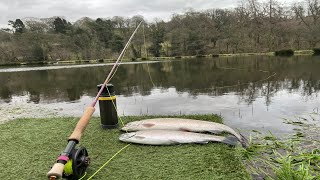 Fly fishing at Danebridge Fisheries and my second Brown [upl. by Carling]