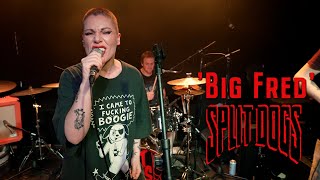 Big Fred SPLIT DOGS Crofters Rights Bristol BOPFLIX sessions [upl. by Marozik30]