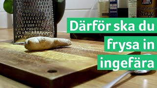 Förvara alltid ingefära skalad i frysen [upl. by Anivlem]