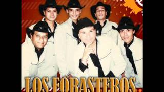 LOS FORASTEROS  EN VIVO EN MISIONES [upl. by Africah]