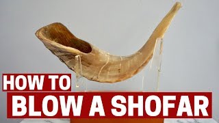 HOW TO BLOW A SHOFAR amp SHOFAR BLESSING [upl. by Zsa]