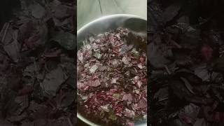 afternoon lunchlaal saagindian foodyoutubeshorts cooking [upl. by Atinauq]