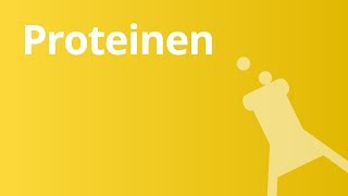 Der Nachweis von Proteinen  Chemie  Organische Verbindungen – Eigenschaften und Reaktionen [upl. by Agripina730]