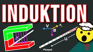 INDUKTION und die Lorentzkraft [upl. by Silvia]