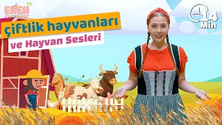 çiftlik hayvanları ve Hayvan Sesleri [upl. by Llehcear652]