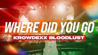 Krowdexx amp Bloodlust  WHERE DID YOU GO Official Videoclip [upl. by Nysa30]