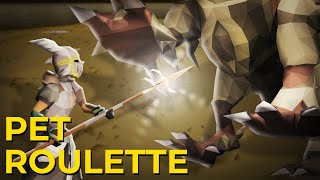 Pet Roulette 16 [upl. by Wojcik]