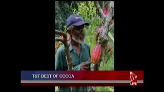 TampT Best Of Cocoa [upl. by Aernda]