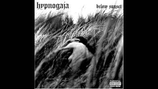 Hypnogaja  They dont care dirty  lyrics [upl. by Lavelle877]