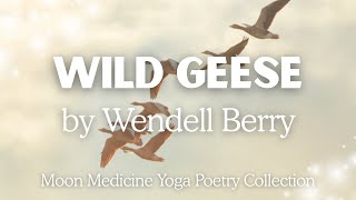 The Wild Geese by Wendell Berry 🪶🍂 Summer’s End amp Autumn’s Arrival  Yoga Poetry Collection [upl. by Irabaj42]