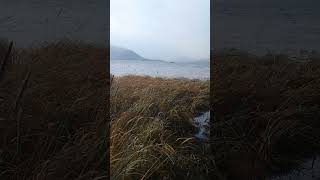 Local Hunter Searches for Goose in Tenakee Springs Alaska [upl. by Ronn377]