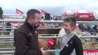 Irish Farmers Journal Heifer amp Hogget competition 2013 [upl. by Anomas]