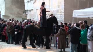 TransHumance aux Baux de Provence [upl. by Ecyarg292]