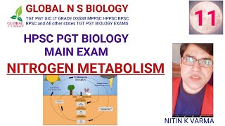 Nitrogen Metabolism [upl. by Amil]