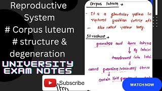 Corpus luteumfate of corpus luteumstructure of corpus luteumfunctions of corpus luteum [upl. by Schilling443]