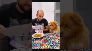 Sorry dog 🐕 funny petcommunity funnydog pets petloversunite funnypet duet petloverscommunity [upl. by Sarita]