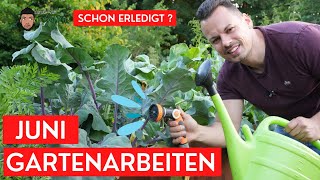 Garten im Juni  Das ist zu tun Aussaat Mulchen und Wässern Düngen Pflege [upl. by Ainet]