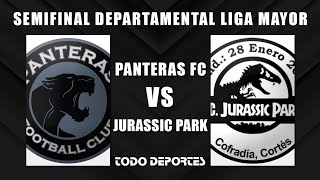 Panteras FC vs Jurassic Park FC  Semifinal Departamental al Ascenso [upl. by Llemej]