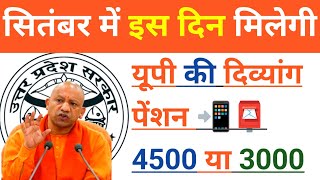 Divyang Pension UP Latest Update 2024  Viklang Pension New Update  Pension  UP विकलांग पेंशन [upl. by Oakes997]