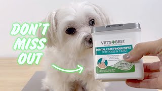 The Teeth Cleaning Hack Your Dog Will LOVE 🐶 Vets Best Finger Wipes Review [upl. by Askwith]