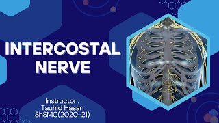 Intercostal Nerve Explained  Full Systemic lecture link in Description [upl. by Earised]