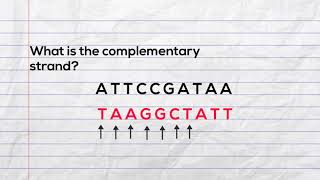 Practice writing the complementary strand of DNA and mRNA during transcription [upl. by Wernda578]