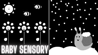 Baby Sensory Video  Seasons Black and White  High Contrast Classical Music and Fun Animation [upl. by Oni]