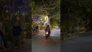 5ta avenida de noche  Playa del carmen [upl. by Proudlove]