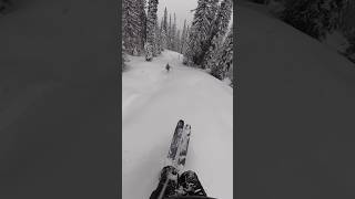 Skiing powder in Rogers Pass British Columbia 🇨🇦 skiing skicanada canada britishcolumbia ski [upl. by Helge]