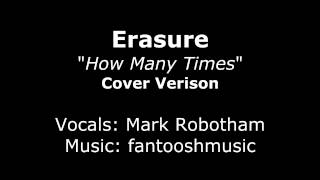 Erasure  How Many Times  Cover Version [upl. by Ryder]