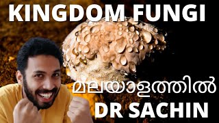 kingdom fungi class 11  malayalam  mycelium  hyphae  knowledge vlogger [upl. by Corell]